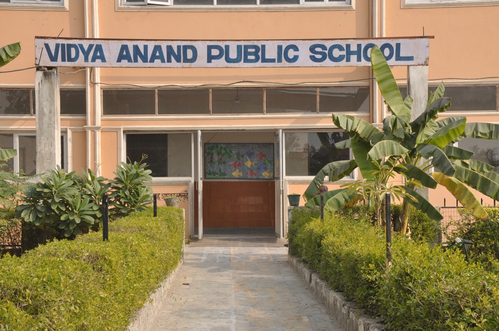 Vidya Anand Public School